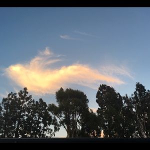 Meet your Posher, Blanca