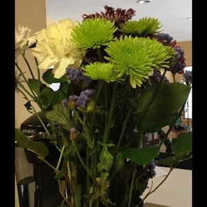 Meet your Posher, Jaye