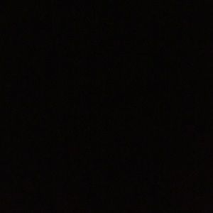 Meet your Posher, Shabria