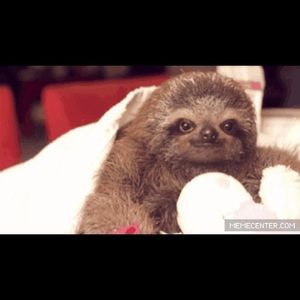 Meet your Posher, Jade