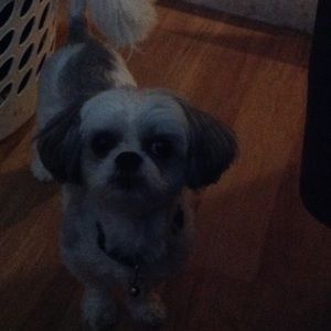 Meet your Posher, Lynn