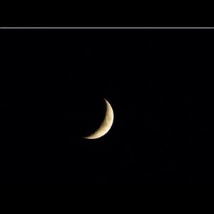 Meet your Posher, Patsy