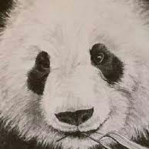 Meet your Posher, Destiny