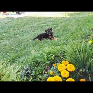 Meet your Posher, Codruta