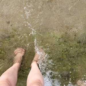 Meet your Posher, Evelyn