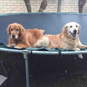 Meet your Posher, Lili