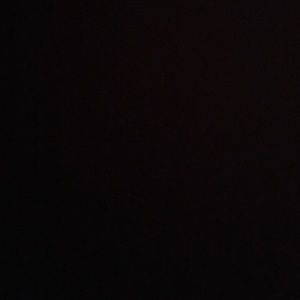 Meet your Posher, Perla