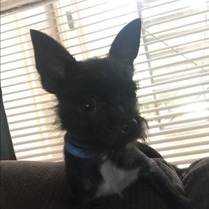 Meet your Posher, Melissa