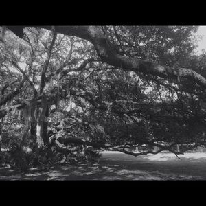 Meet your Posher, Teja