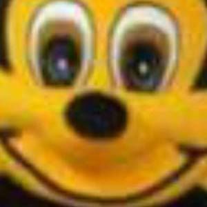 Meet your Posher, Bailey