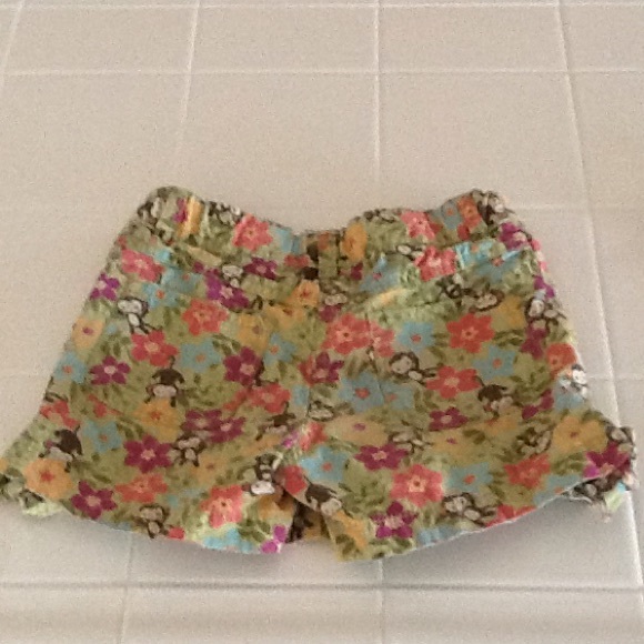 Shorts - Picture 4 of 4