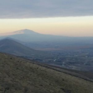 Meet your Posher, Tasha