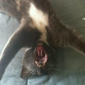 Meet your Posher, Colleen