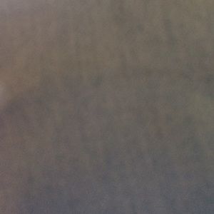 Meet your Posher, Charles