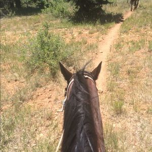 Meet your Posher, Kyley