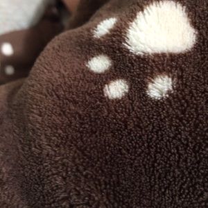 Meet your Posher, Sash