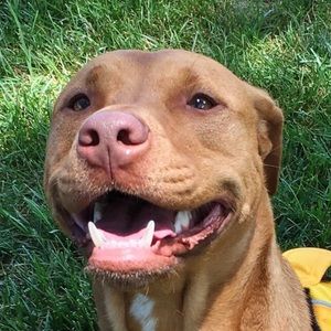 Meet your Posher, Kacey