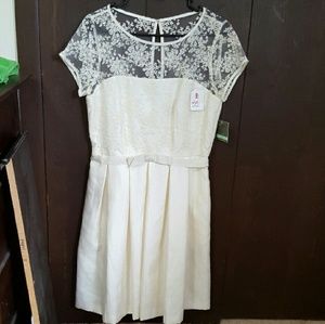 Lace, sheer top dress