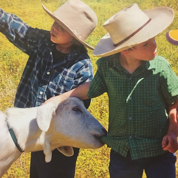 Meet your Posher, Rita - Picture 1 of 1