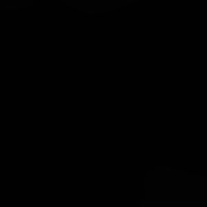 Meet your Posher, Ally