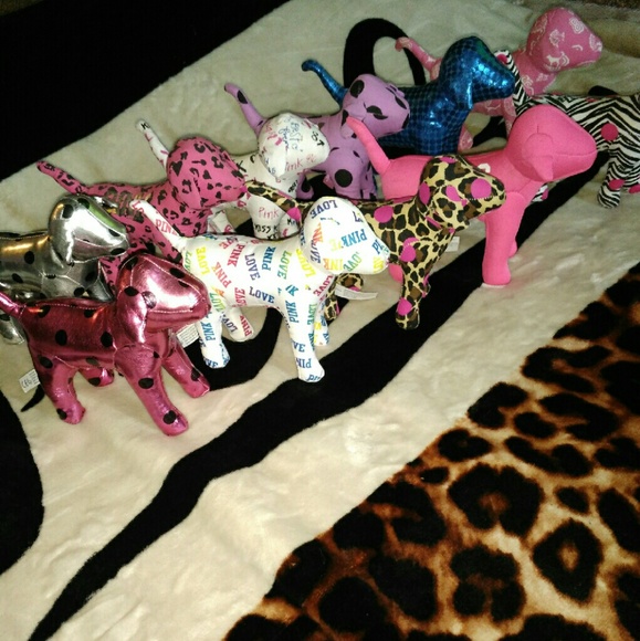 VS Mini Dogs ?????? - Picture 1 of 3