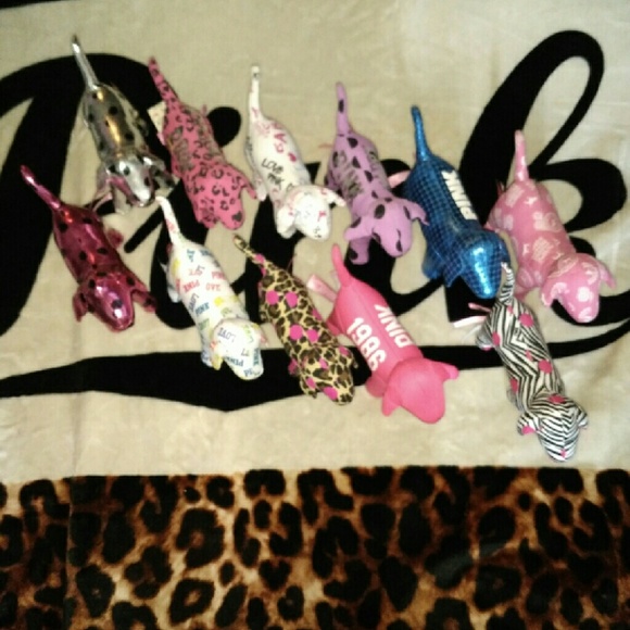 VS Mini Dogs ?????? - Picture 2 of 3