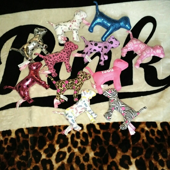 VS Mini Dogs ?????? - Picture 3 of 3