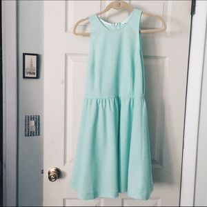 Mint Green Skater Dress