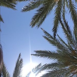 Meet your Posher, Bella