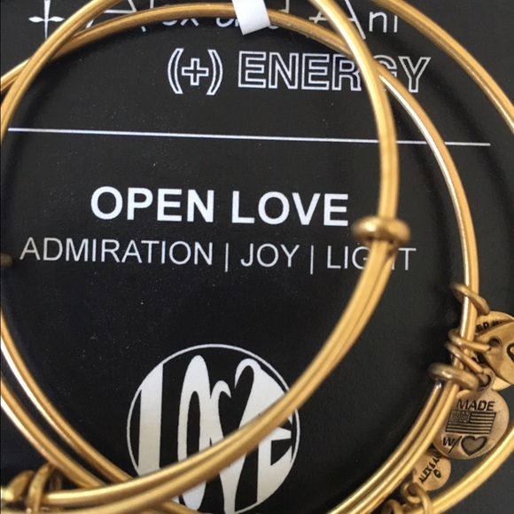 Alex and Ani Open Love bracelet - Picture 3 of 3