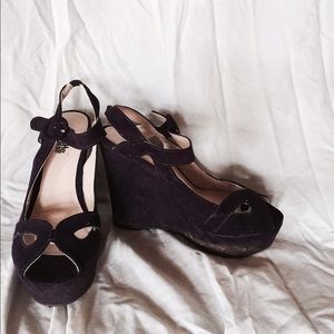 Purple Wedges