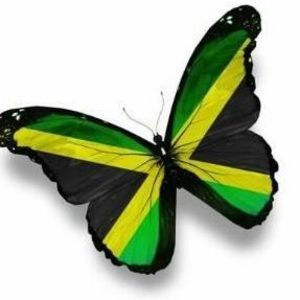 Meet your Posher, Beverly