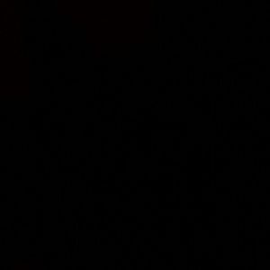 Meet your Posher, Simone