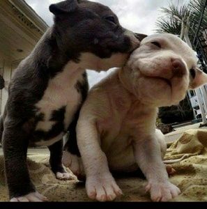 Meet your Posher, Tianna