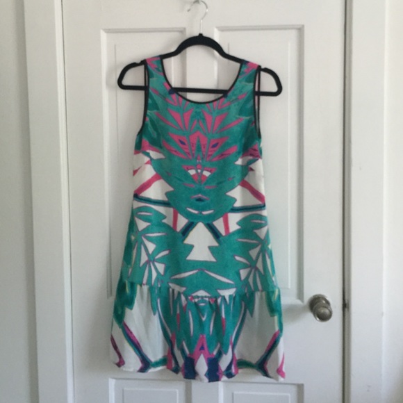 Twelfth Street by Cynthia Vincent Silk Dress