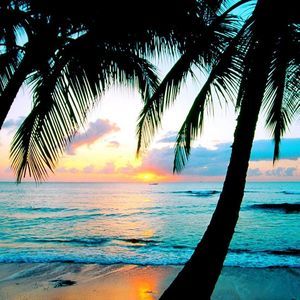 Meet your Posher, Becki