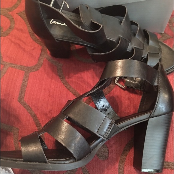Lane Bryant 10W
