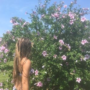 Meet your Posher, Autumn