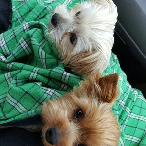 Meet your Posher, Gail