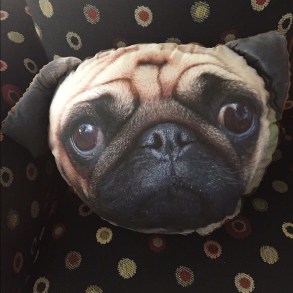 Custom Pet Pillows