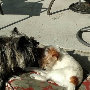 Meet your Posher, Joanne