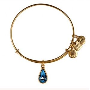 Alex and Ani living water charm bangle
