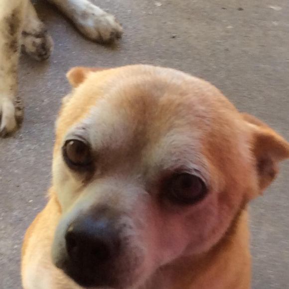 Meet your Posher, Kevin - Picture 1 of 1