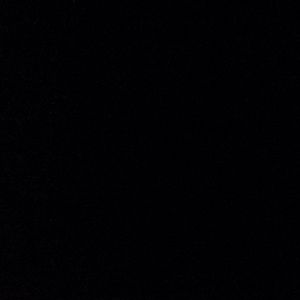 Meet your Posher, Jaylee