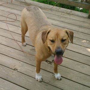 Meet your Posher, Ruth