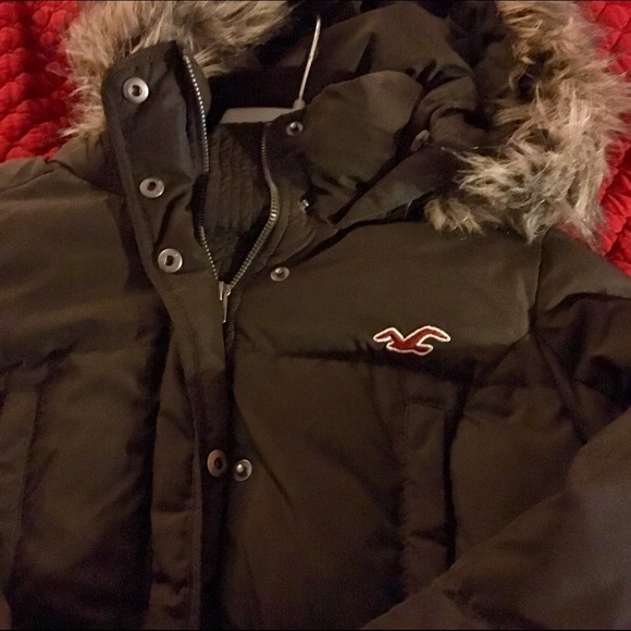 Hollister Winter Coat - Picture 3 of 4