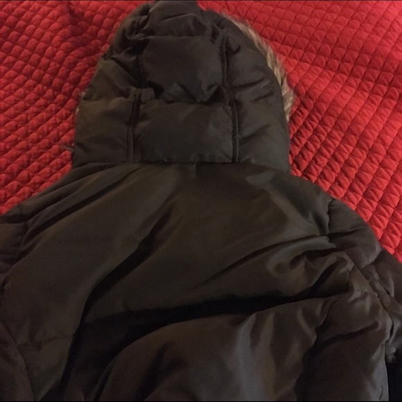 Hollister Winter Coat - Picture 4 of 4