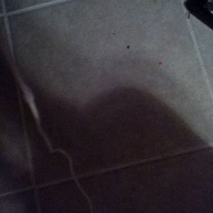 Meet your Posher, Nakiya