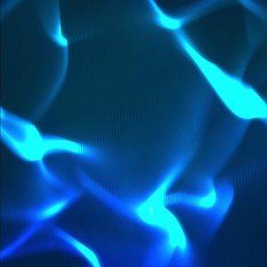 Meet your Posher, Shelly