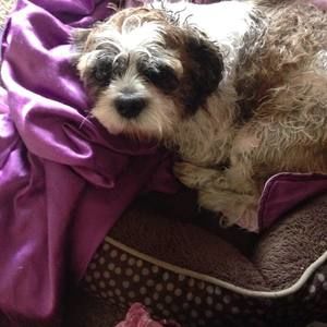 Meet your Posher, Debbie